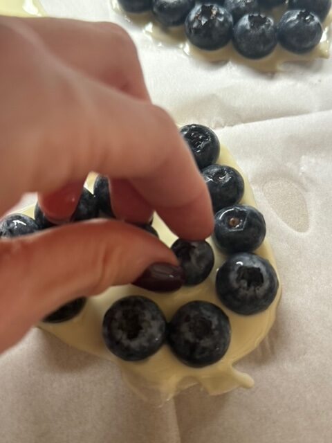 IMG_9528